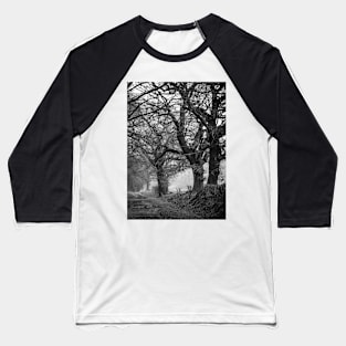 Tree stories Baseball T-Shirt